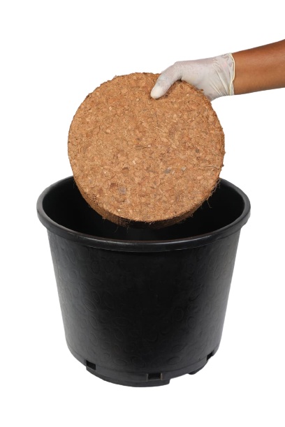Container Blends — coco coir growing media by HortBio